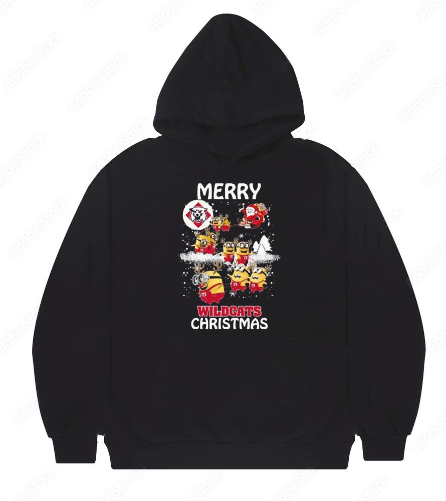 Santa Claus With Sleigh Davidson Wildcats Minion Christmas Shirt