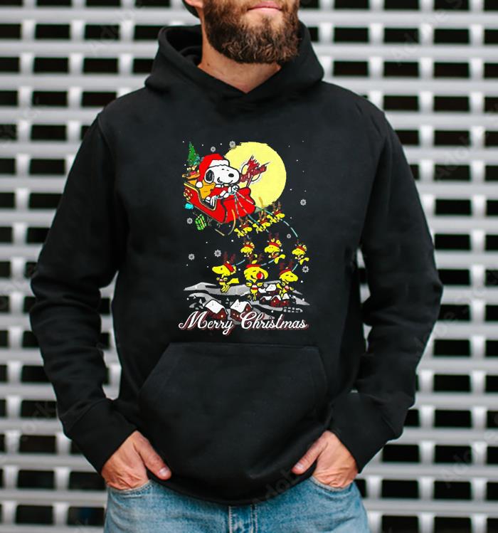 Santa Claus With Sleigh Favorable Saint Francis Red Flash Snoopy Christmas Shirt
