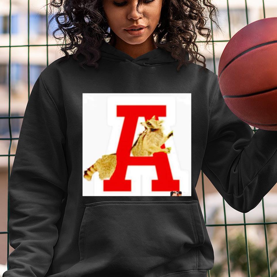 hh175 raccoon at baumwalker stadium shirt hoodie - Raccoon at Baum-Walker Stadium shirt