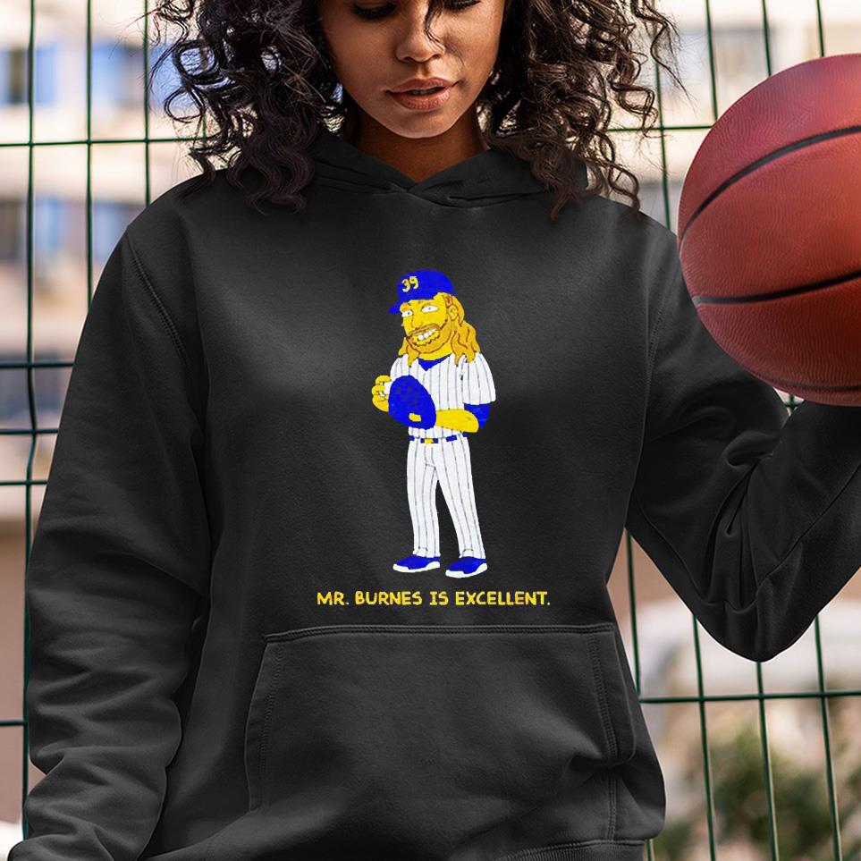 hh294 mr burnes is excellent shirt hoodie - Mr. Burnes Is Excellent shirt