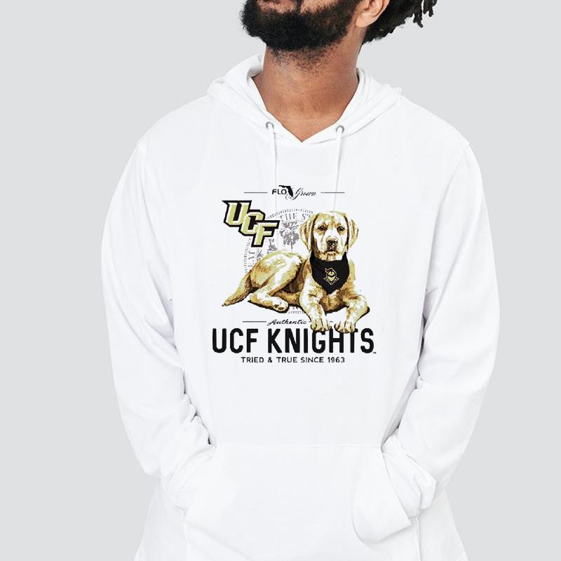 hh305 ucf knights tried  true since 1963 shirt hoodie - UCF Knights tried & true since 1963 shirt