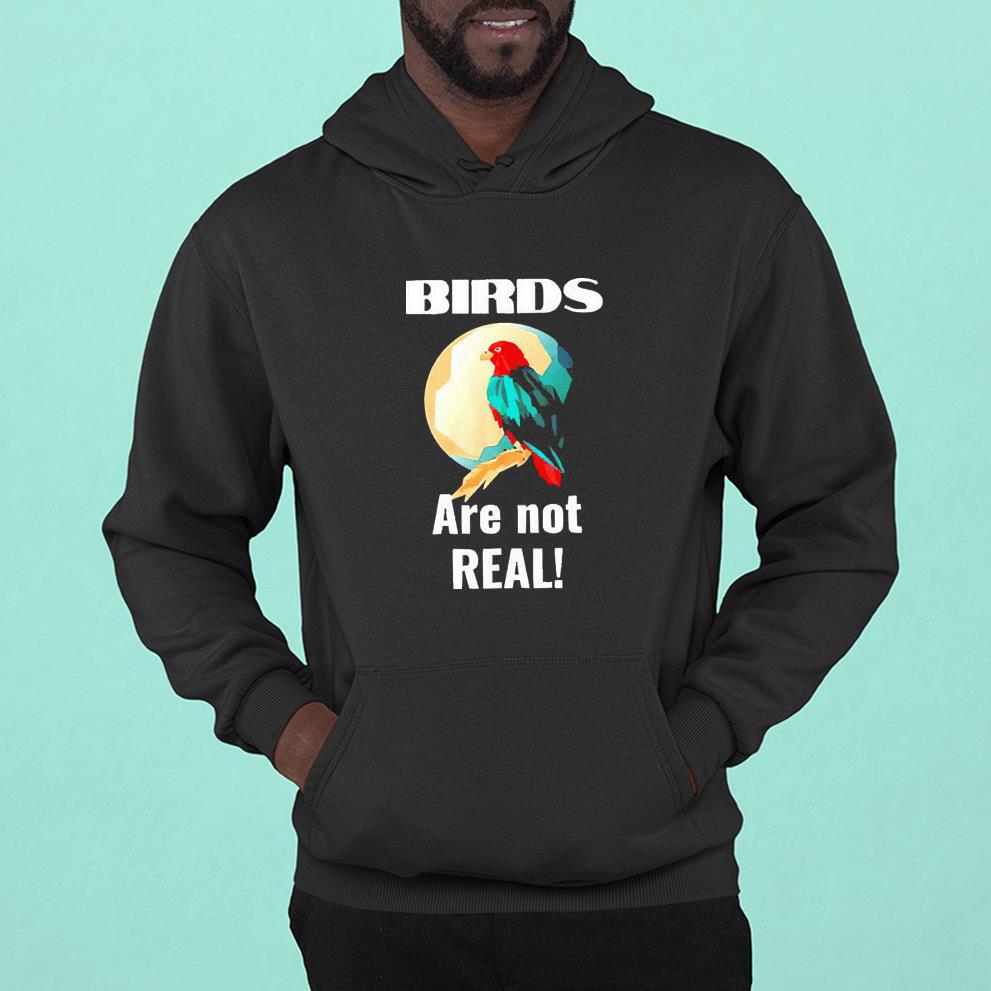 hh55 birds are not real conspiracy theory shirt hoodie - Birds Are Not Real Conspiracy Theory Shirt