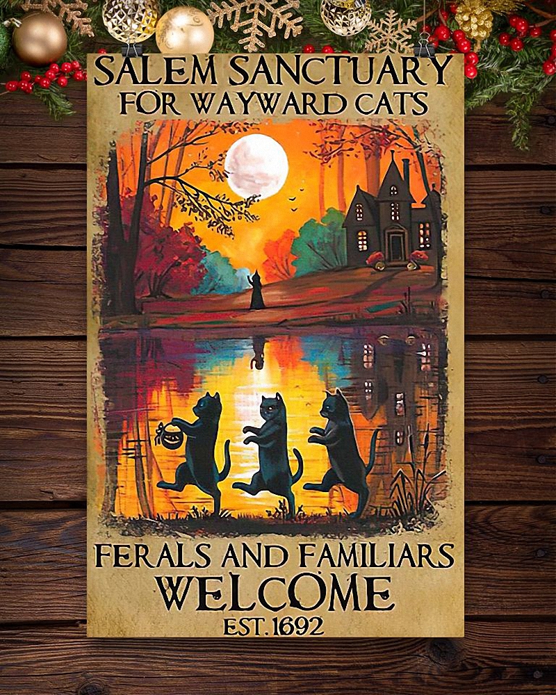 Salem Sanctuary For Wayward Cats Canvas 1
