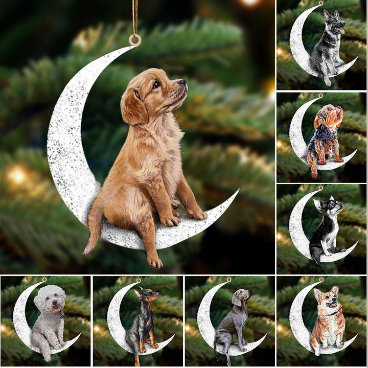 Sit On The Moon-Two Sided Ornament 1